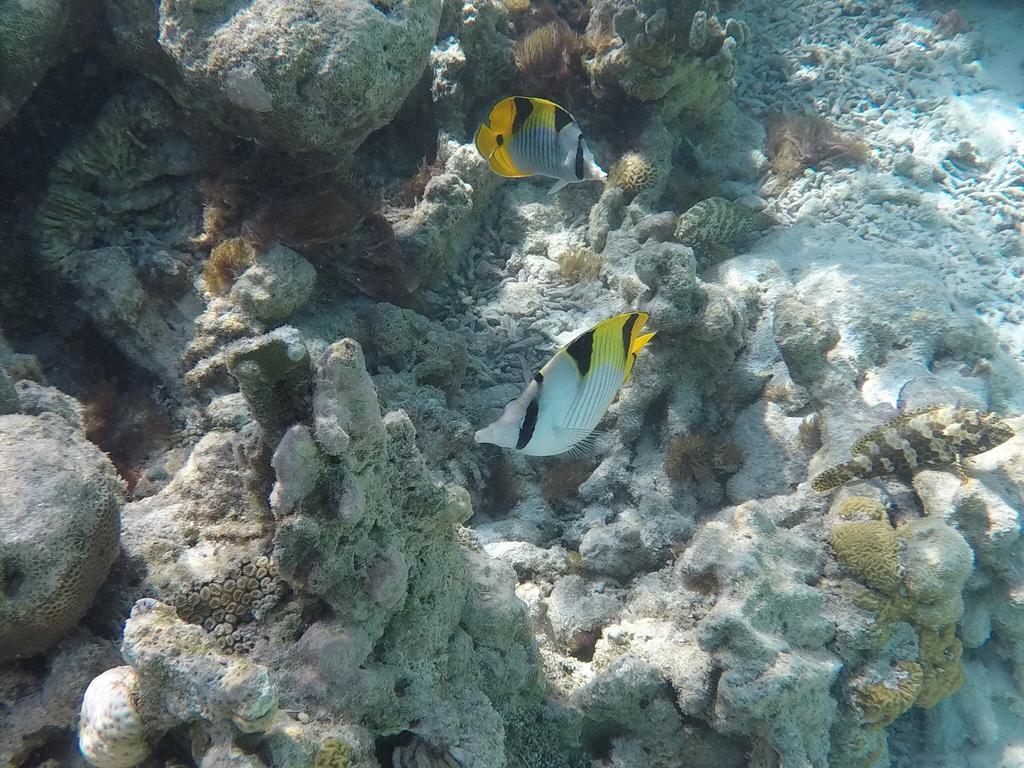 Hudhu Raakani Lodge Maldives Thinadhoo  Exteriör bild